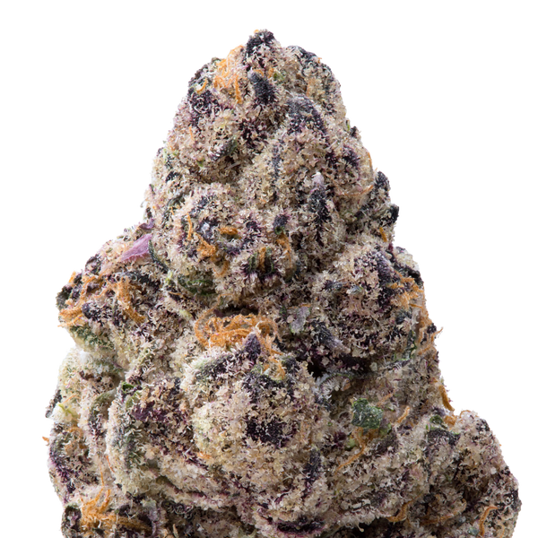 Tamales Big THCA Flower macro