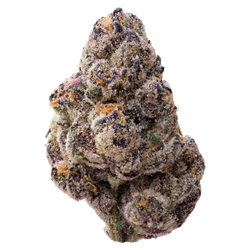 Tamales Big THCA Flower nug