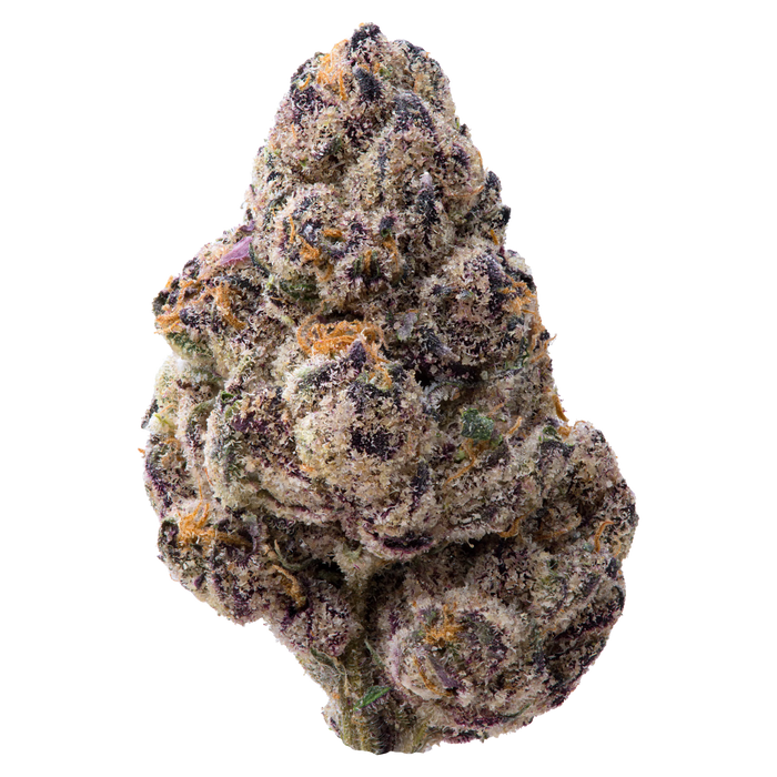 Tamales Big THCA Flower nug