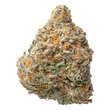 Tropical Gelato THCa Flower supergreenshempco