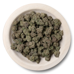 Tropical Gelato THCa Flower top