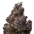 Ultraviolet THCA Flower macro