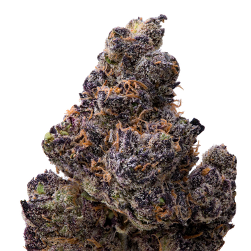 Ultraviolet THCA Flower macro