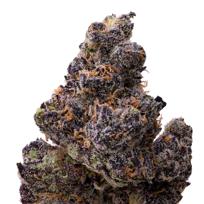 Ultraviolet THCA Flower macro