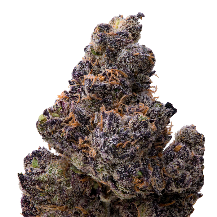Ultraviolet THCA Flower macro