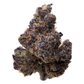 Ultraviolet THCA Flower nug