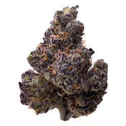 Ultraviolet THCA Flower nug