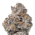Uncle Snoop THCa Flower macro