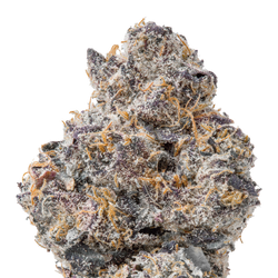 Uncle Snoop THCa Flower macro