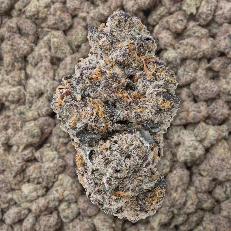 Uncle Snoop THCa Flower supergreenshempco