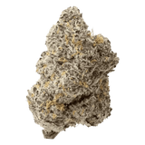 🎁 FREE 8th Exotic THCa Flower (100% off)
