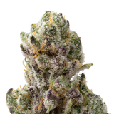 Venom OG THCa Flower Ounce