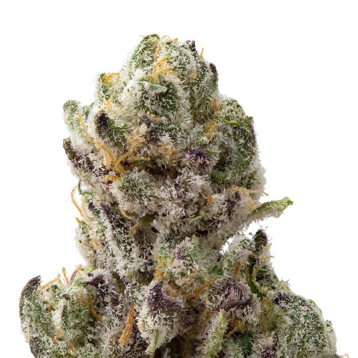 Venom OG Premium Indoor THCa Flower Ounce 