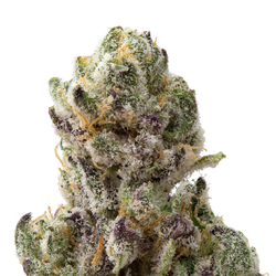 Venom OG Premium Indoor THCa Flower Ounce 