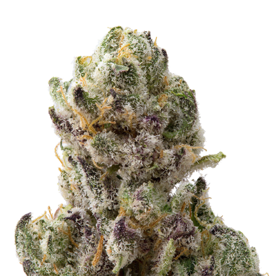 Venom OG Premium Indoor THCa Flower 3.5g