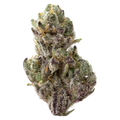 Venom OG Premium Indoor THCa Flower nug