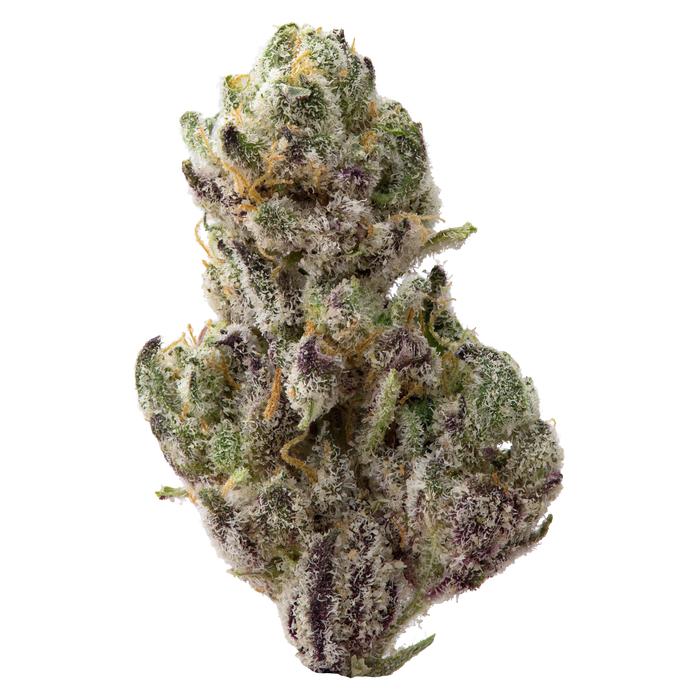 Venom OG Premium Indoor THCa Flower nug