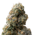 Wedding Cake THCa Flower macro