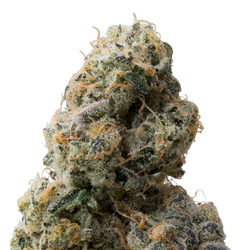 Wedding Cake THCa Flower macro