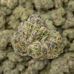 White Guava Smalls THCa Flower