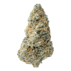 White Widow THCa Flower 