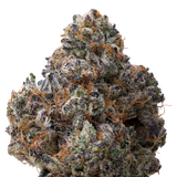 White Runtz x Cold Heat THCA Flower