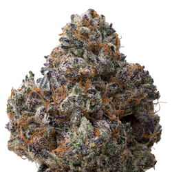White Runtz x Cold Heat THCA Flower 