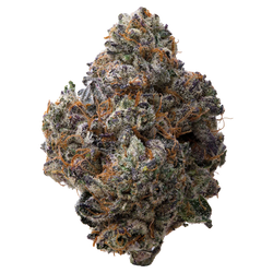 White Runtz x Cold Heat THCA Flower 