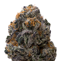 White Runtz x Pure Michigan THCA Flower macro
