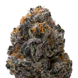 White Runtz x Pure Michigan THCA Flower