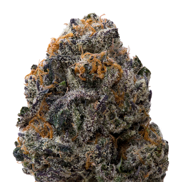 White Runtz x Pure Michigan THCA Flower macro