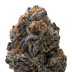 White Runtz x Pure Michigan THCA Flower macro