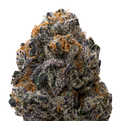 White Runtz x Pure Michigan THCA Flower macro