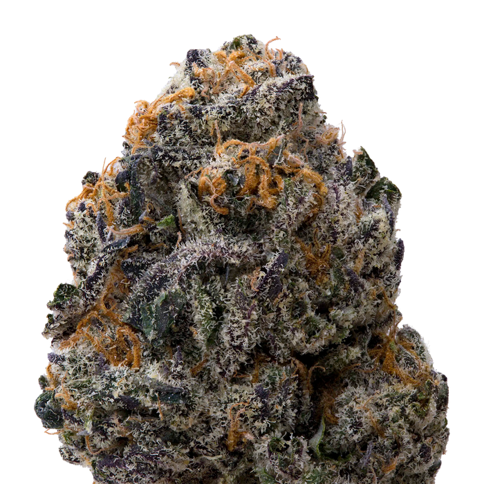 White Runtz x Pure Michigan THCA Flower macro