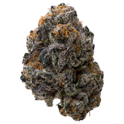 White Runtz x Pure Michigan THCA Flower nug