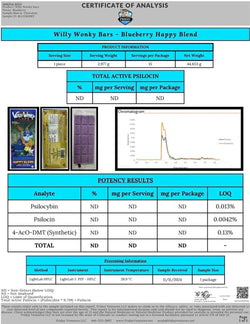 Willy Wonky Magic Mushroom Blend | Blueberry Willy Wonky