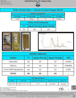 Willy Wonky Magic Mushroom Blend | Salted Caramel Willy Wonky