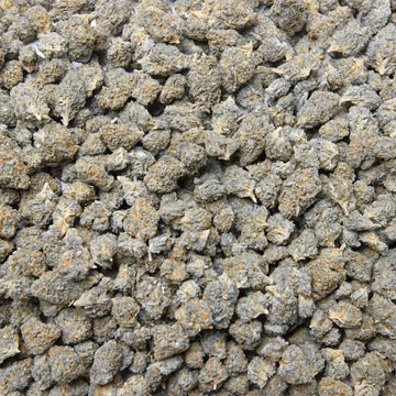 Wonderbread Light Dep THCa Flower supergreenshempco