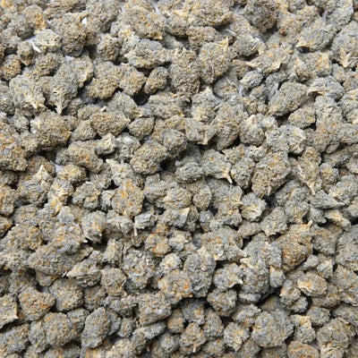 Wonderbread Light Dep THCa Flower supergreenshempco