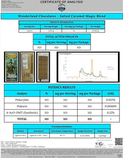 Wonderland Magic Mushroom Blend | Salted Caramel Wonderland