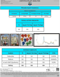 Wonderland Magic Mushroom Blend | Assorted Fruit Wonderland