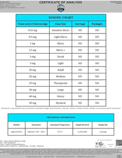 Wonderland Magic Mushroom Blend | Assorted Fruit Wonderland