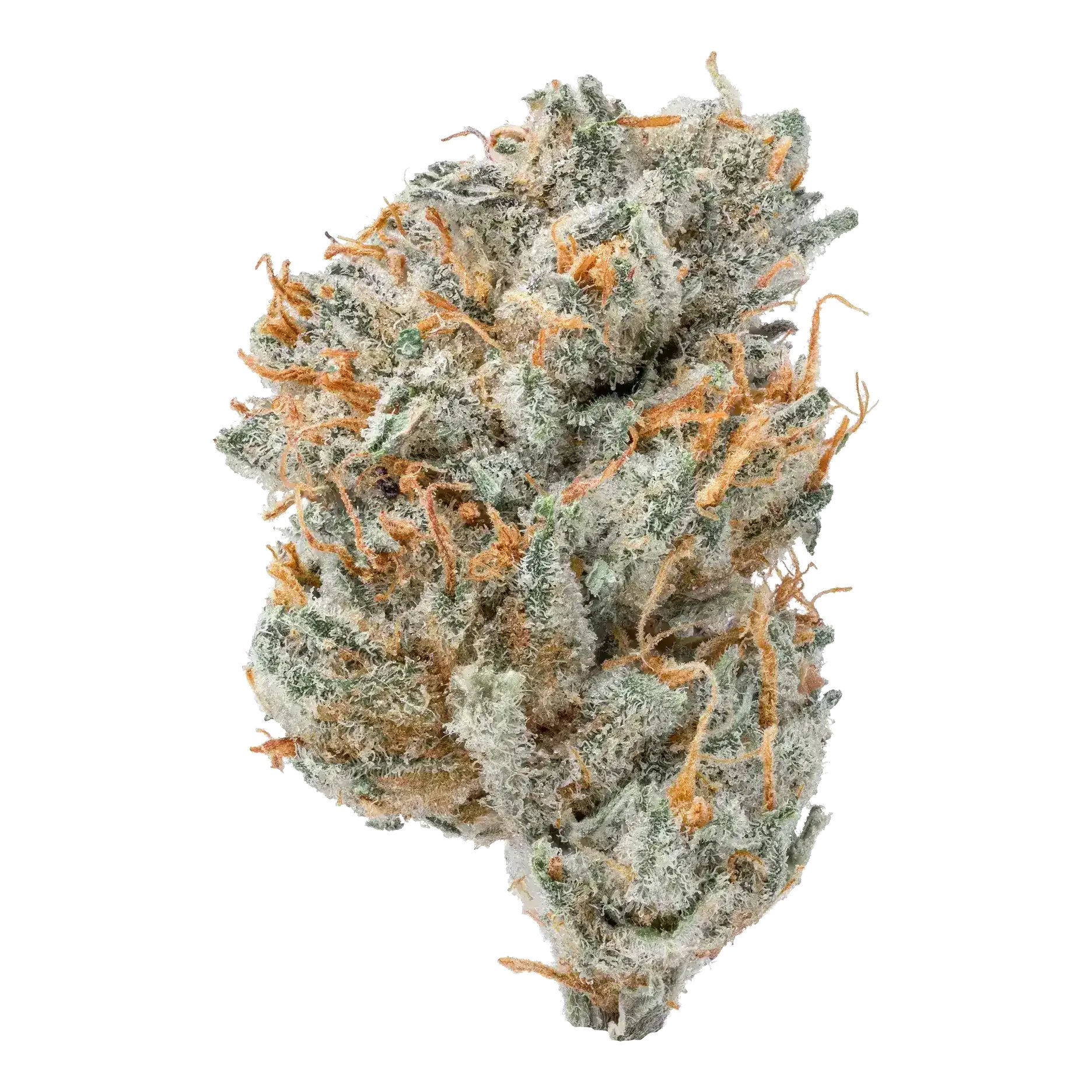Wookie Smalls THCa Flower supergreenshempco