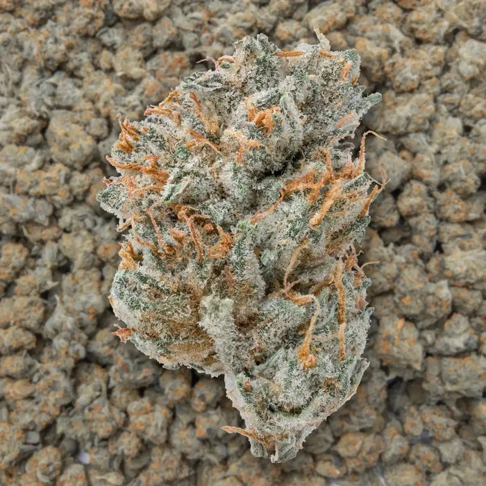 Wookie Smalls THCa Flower supergreenshempco