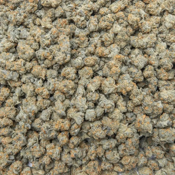 Wookie Smalls THCa Flower supergreenshempco