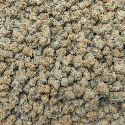 Wookie Smalls THCa Flower supergreenshempco