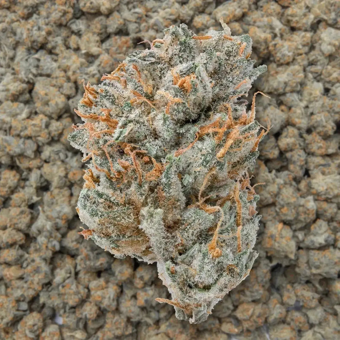 Wookie THCa Flower supergreenshempco