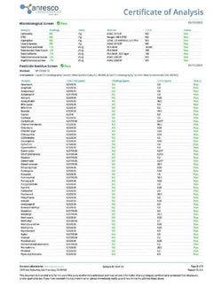 Huckleberry Hybrid THC | Playful Super Greens Hemp Co