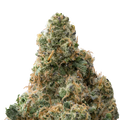 Zangria Premium Indoor THCa Flower macro