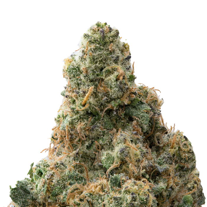 Zangria Premium Indoor THCa Flower macro